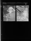 Greenhouse (2 Negatives) (October 21, 1957) [Sleeve 46, Folder a, Box 13]